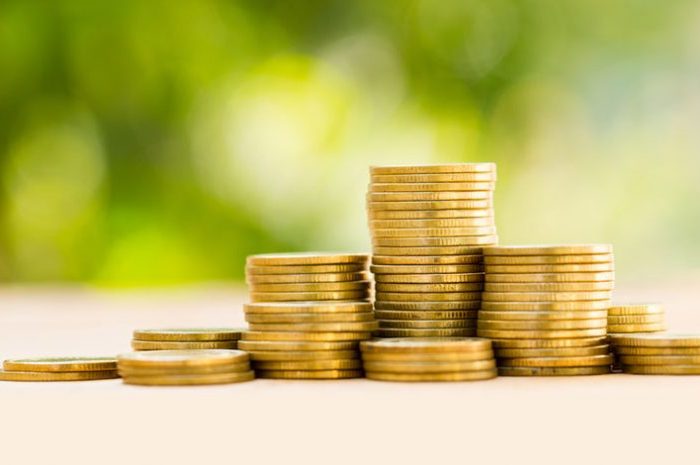The future of development finance is to Blend |Achin Biyani and Archish Guota
