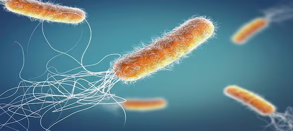 How’s Innovative Financing Helping the Fight Against Superbugs